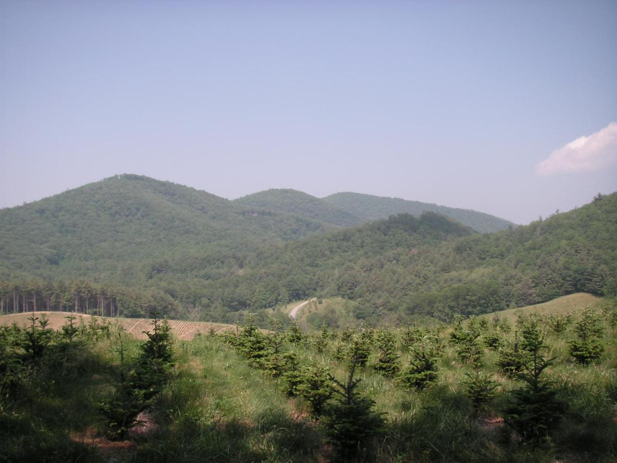 Cullowhee Arrowmont Stables & Cabins מראה חיצוני תמונה