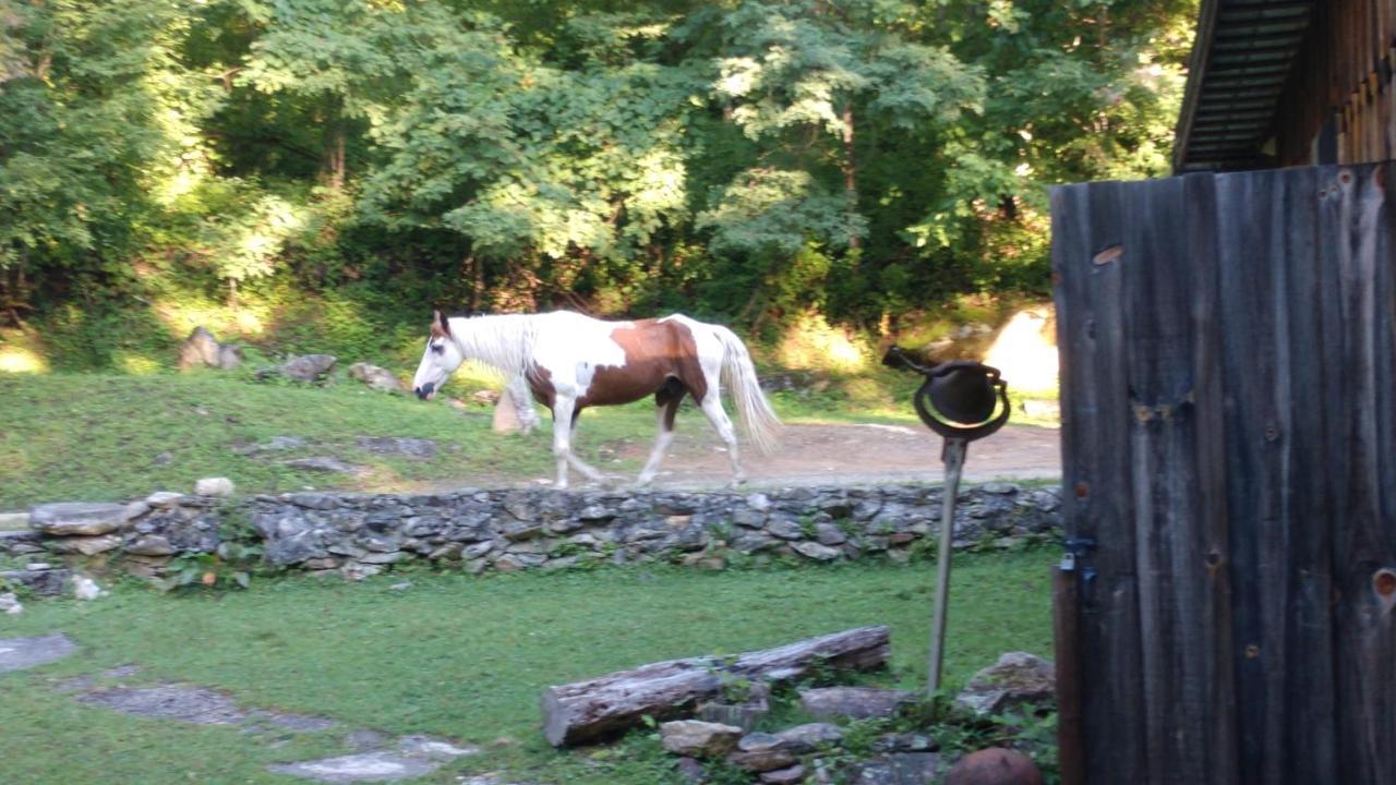 Cullowhee Arrowmont Stables & Cabins מראה חיצוני תמונה