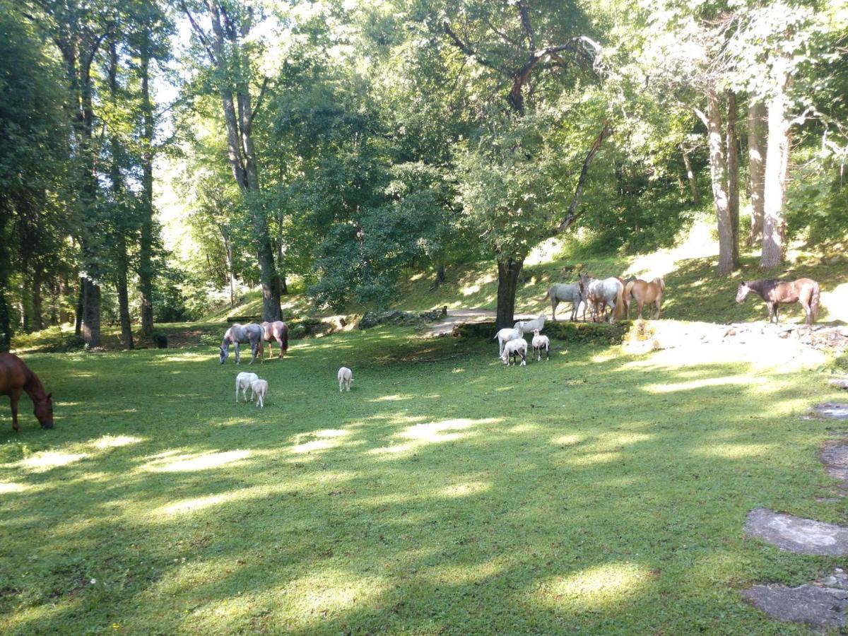 Cullowhee Arrowmont Stables & Cabins מראה חיצוני תמונה