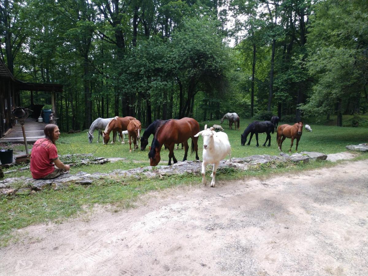 Cullowhee Arrowmont Stables & Cabins מראה חיצוני תמונה