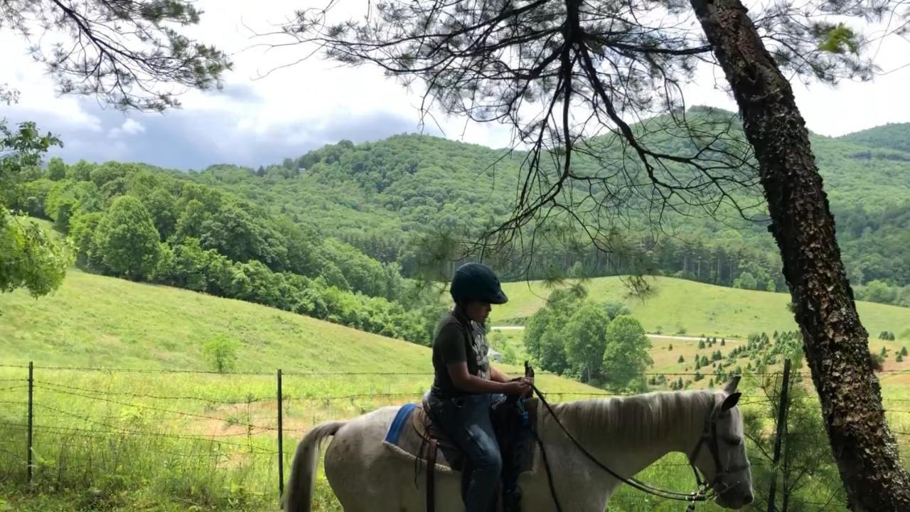 Cullowhee Arrowmont Stables & Cabins מראה חיצוני תמונה