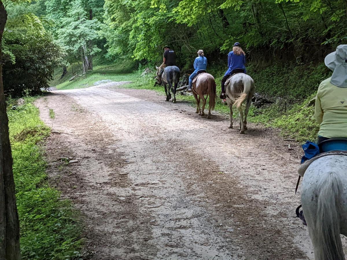 Cullowhee Arrowmont Stables & Cabins מראה חיצוני תמונה