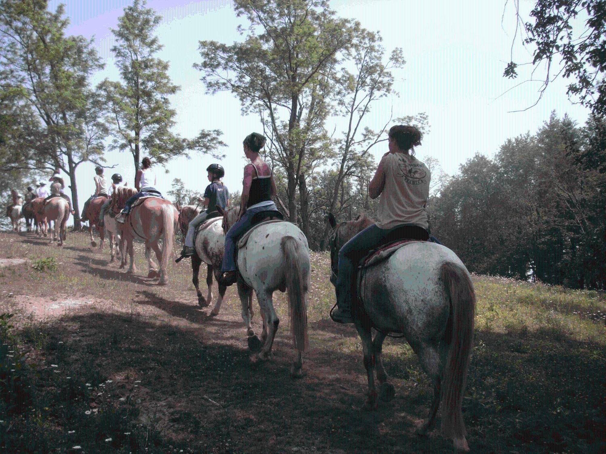 Cullowhee Arrowmont Stables & Cabins מראה חיצוני תמונה