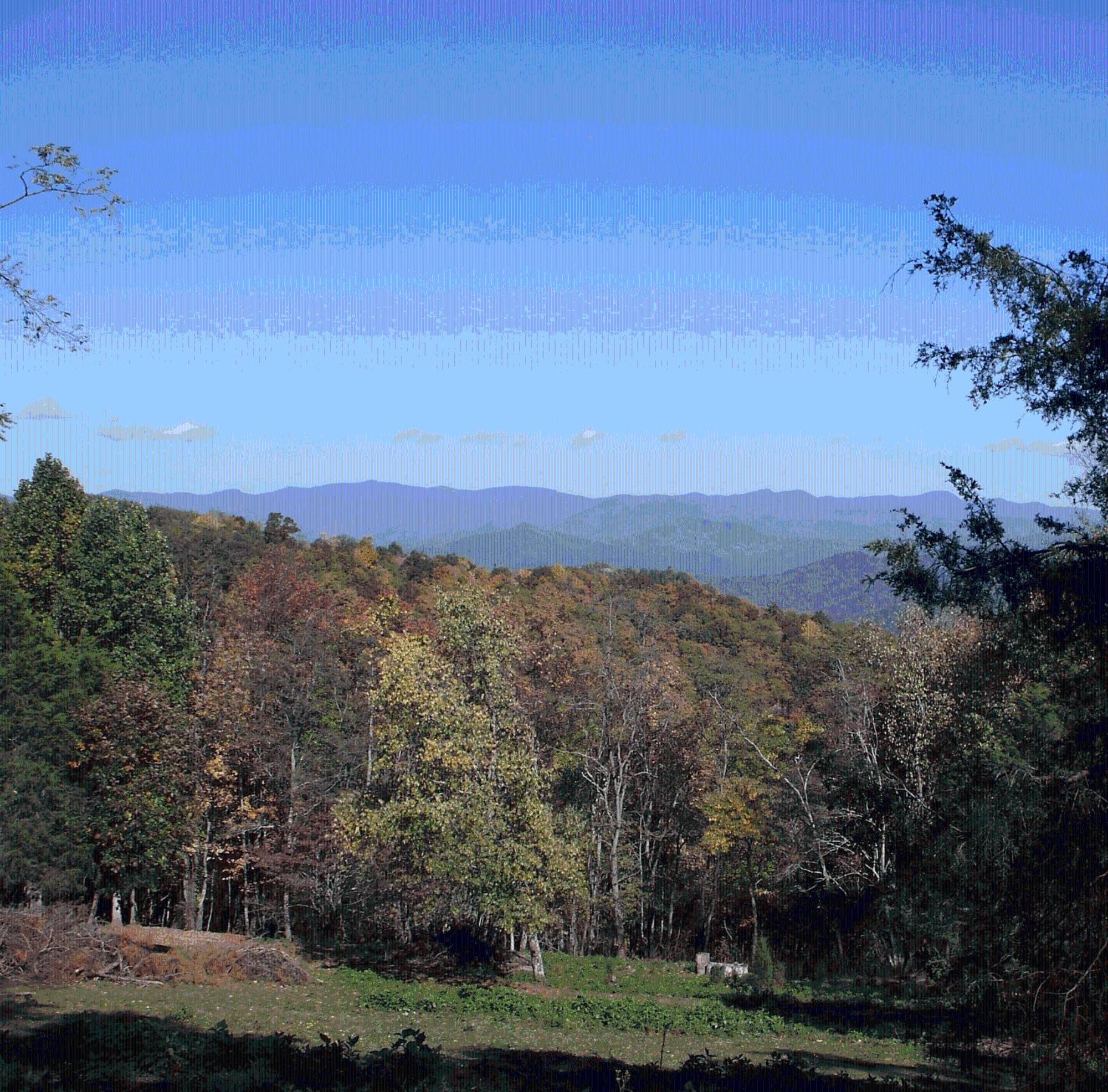 Cullowhee Arrowmont Stables & Cabins מראה חיצוני תמונה