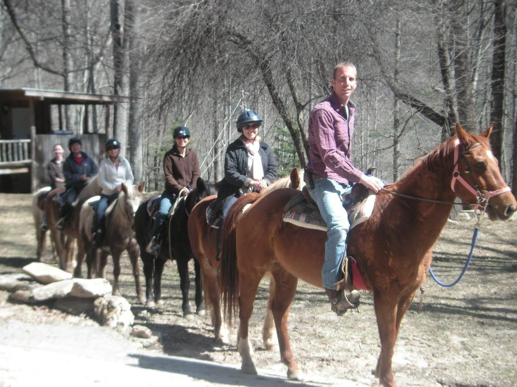 Cullowhee Arrowmont Stables & Cabins מראה חיצוני תמונה