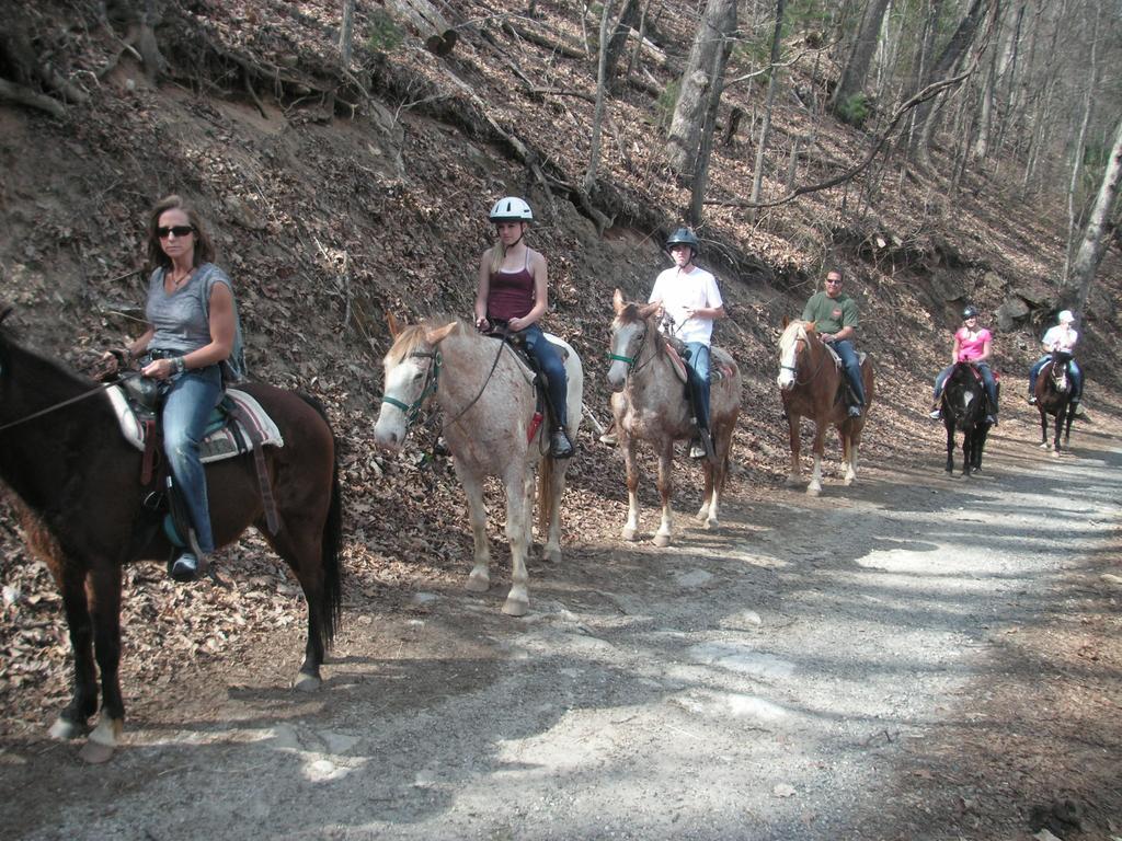 Cullowhee Arrowmont Stables & Cabins מראה חיצוני תמונה