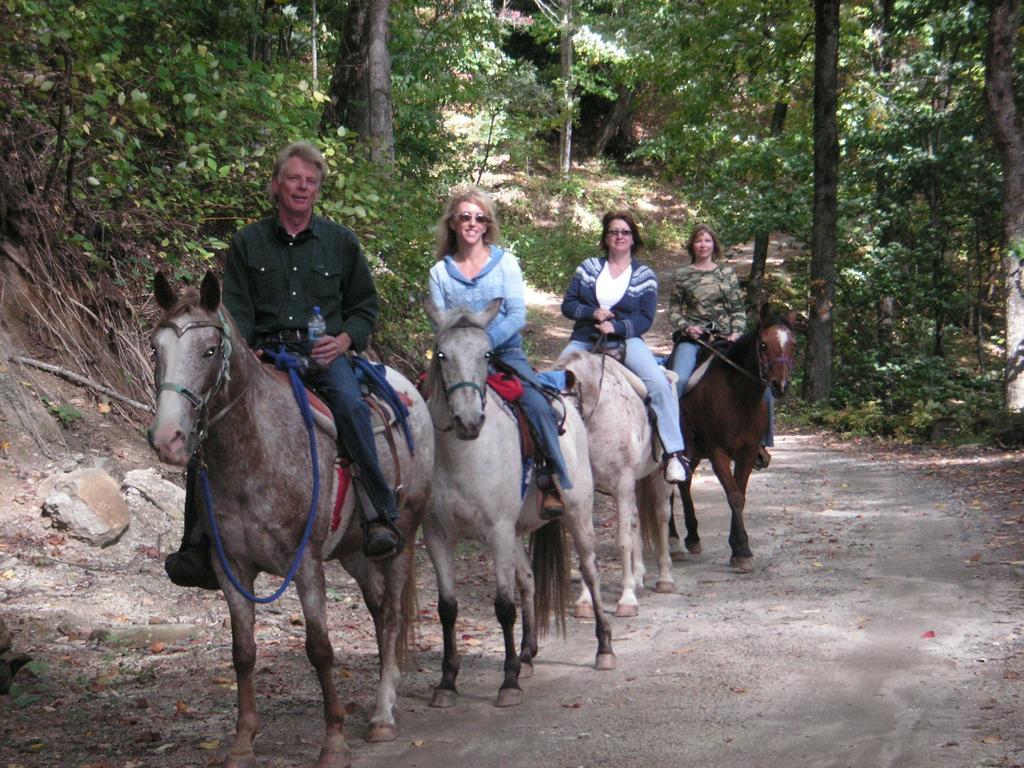 Cullowhee Arrowmont Stables & Cabins מראה חיצוני תמונה