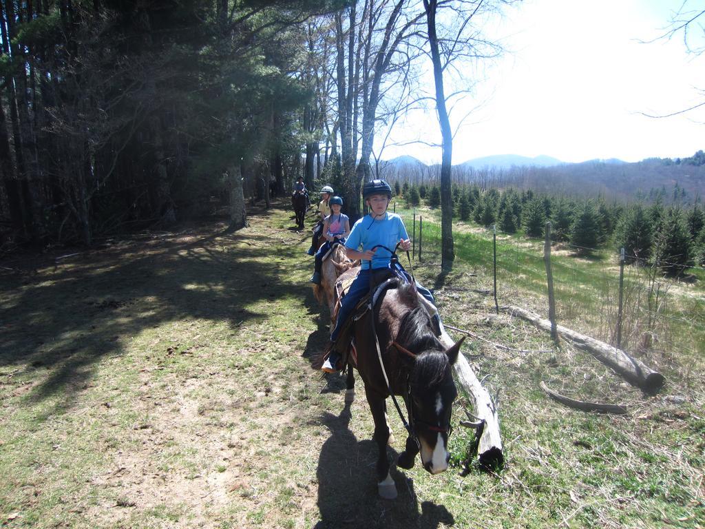 Cullowhee Arrowmont Stables & Cabins מראה חיצוני תמונה