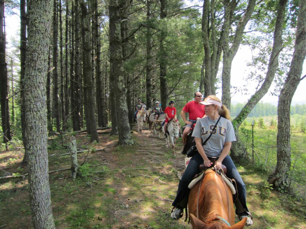 Cullowhee Arrowmont Stables & Cabins מראה חיצוני תמונה