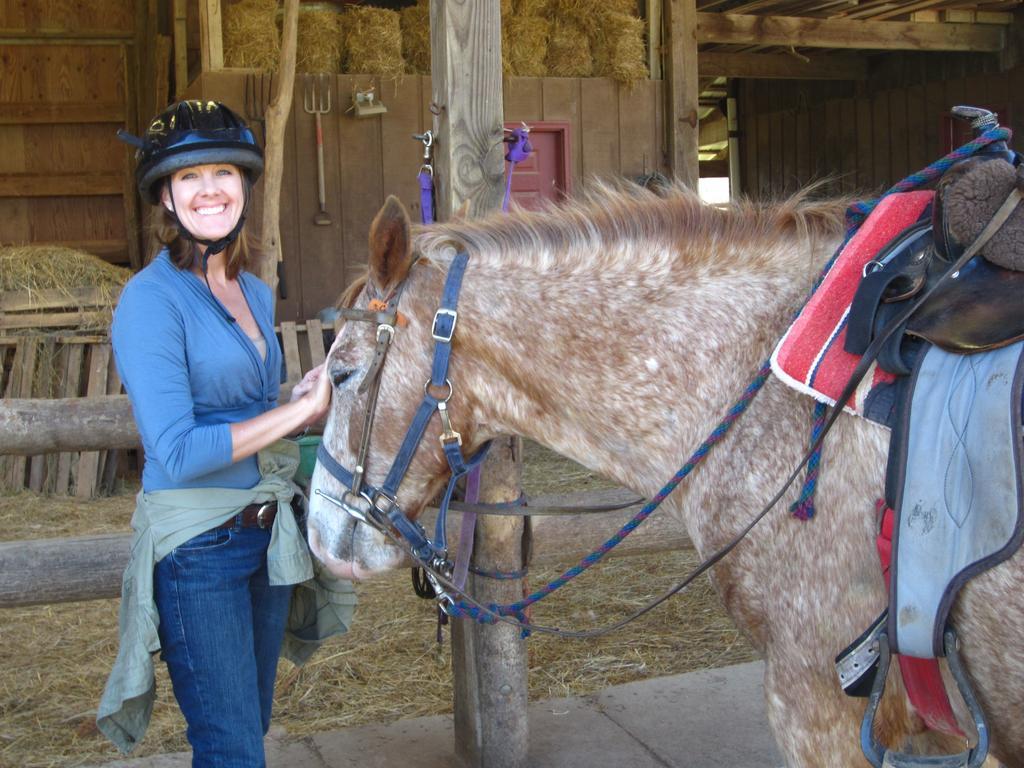 Cullowhee Arrowmont Stables & Cabins מראה חיצוני תמונה