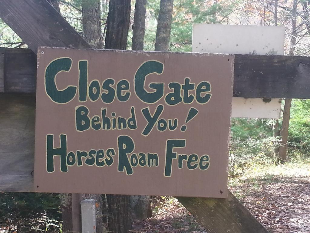 Cullowhee Arrowmont Stables & Cabins מראה חיצוני תמונה