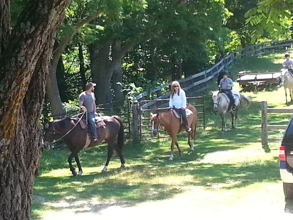 Cullowhee Arrowmont Stables & Cabins מראה חיצוני תמונה